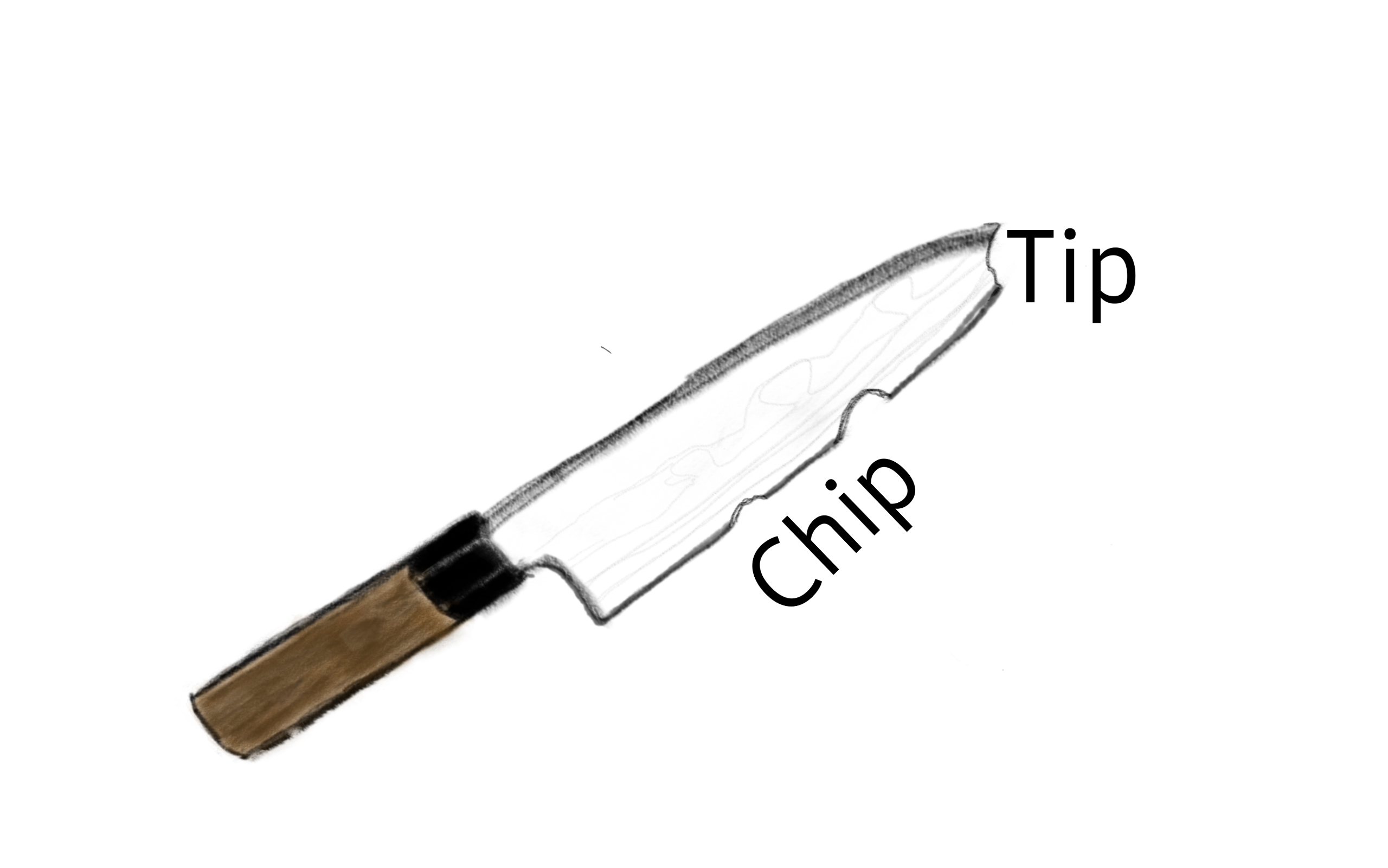 Fix chip, tip, realigh edge Price from Sydney Knife Sharpening